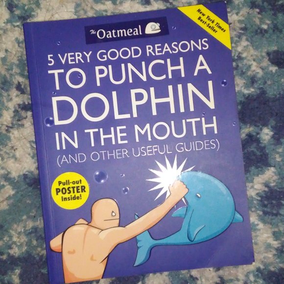 5 Very Good Reasons to Punch a Dolphin in the Mouth (And Other Useful Guides) - Picture 1 of 5